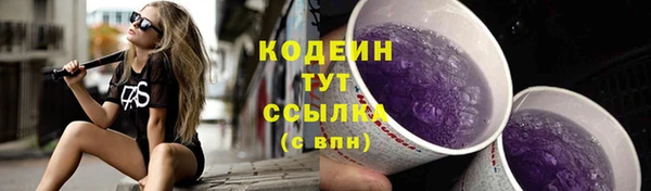 ГАЛЛЮЦИНОГЕННЫЕ ГРИБЫ Майский