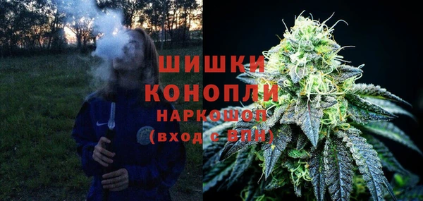 ГАЛЛЮЦИНОГЕННЫЕ ГРИБЫ Майский