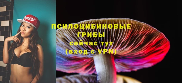 прущая мука Магас