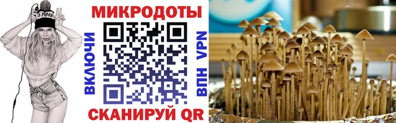 блэк спрут рабочий сайт  Феодосия  Псилоцибиновые грибы мицелий  как найти закладки 