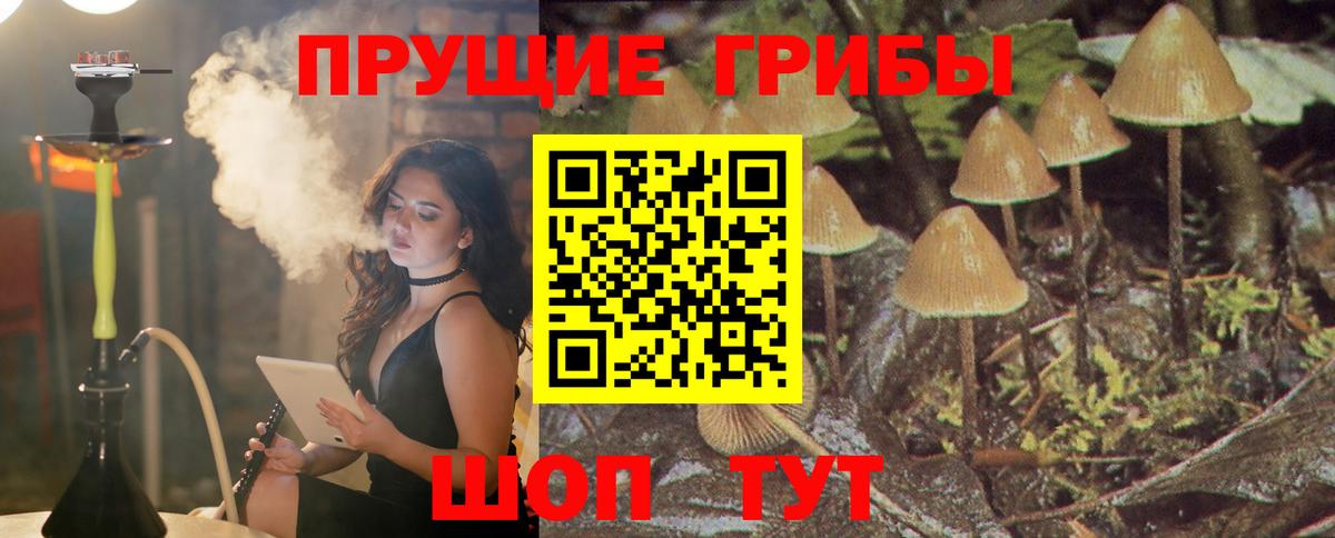 Псилоцибиновые грибы мухоморы Феодосия
